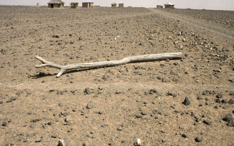 Le Kenya en guerre contre les effets de la sécheresse