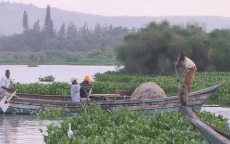 Le calvaire des pêcheurs du lac Victoria au Kenya
