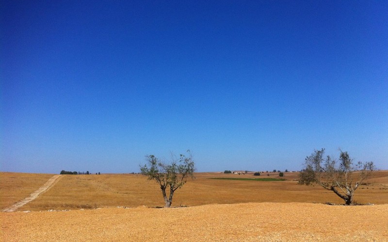 Le réchauffement climatique accroît le risque de sécheresses dans certaines régions