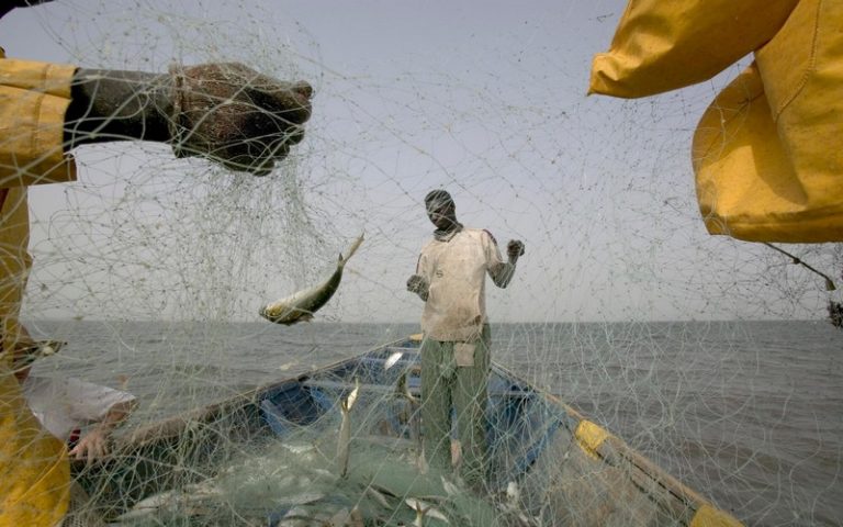 Les experts d’Afrique de l’Ouest capacités pour une meilleure préservation des petits pélagiques