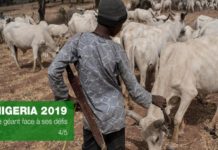 L’accès aux ressources à l’origine de conflits entre éleveurs et agriculteurs au Nigéria