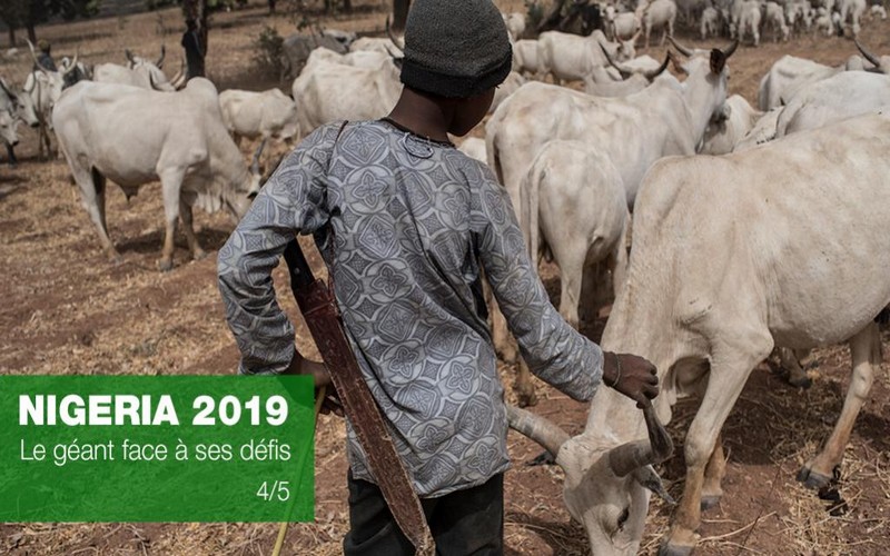 L’accès aux ressources à l’origine de conflits entre éleveurs et agriculteurs au Nigéria