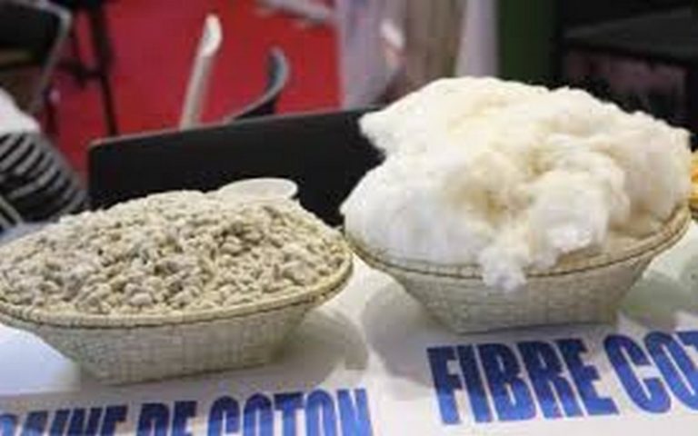 Mali : la CMDT vise plus d’investisseurs dans la transformation du coton au SIA