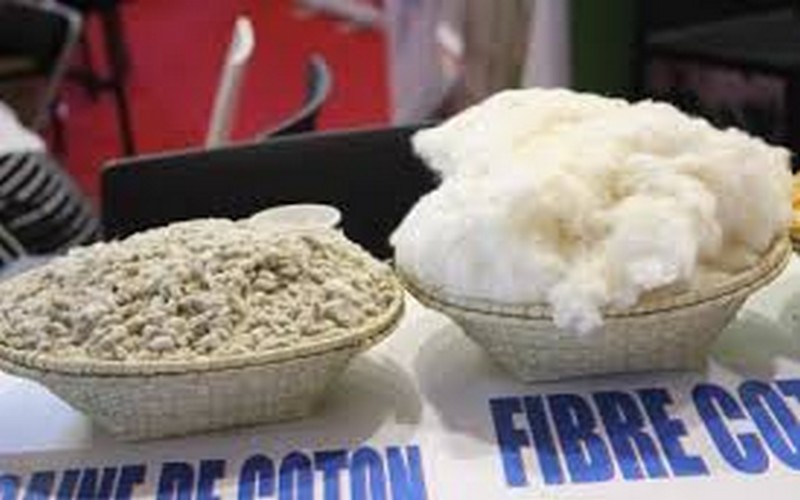 Mali : la CMDT vise plus d’investisseurs dans la transformation du coton au SIA