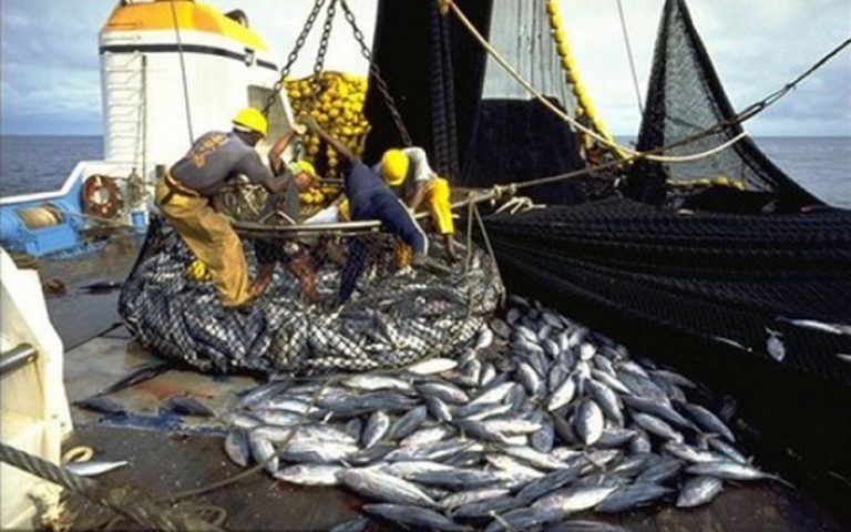 Sénégal : les candidats invités à faire du secteur de la pêche une priorité
