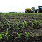 Modernisation de l’agriculture : le Sénégal réactualise sa stratégie de mécanisation agricole