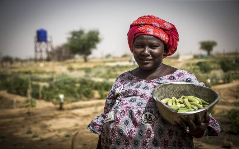 Un rapport de l’ONU alerte sur la hausse de la faim en Afrique