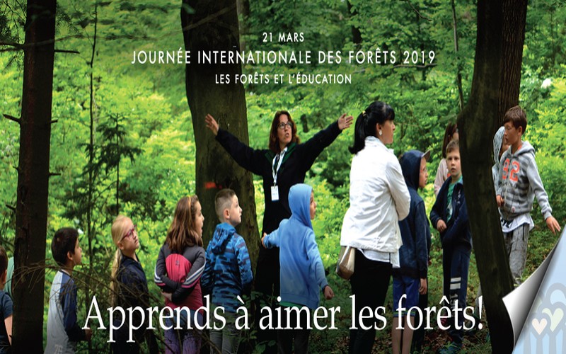 Des concours pour la 6ème édition de la Journée internationale des forêts
