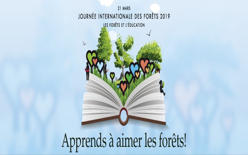 La Journée internationale des forêts célébrée ce 21 mars 2019