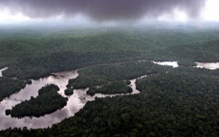La RDC à l’heure de la gestion durable des forêts