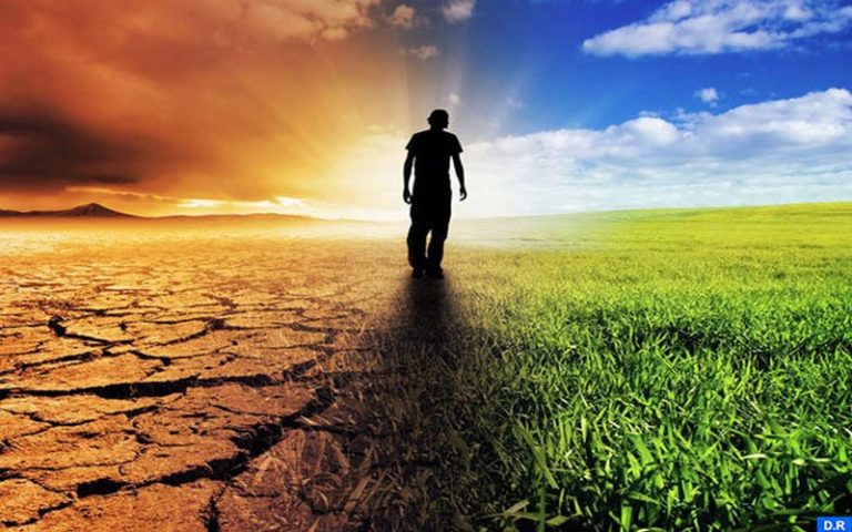 La préservation des écosystèmes forestiers analysée à la Semaine africaine du climat