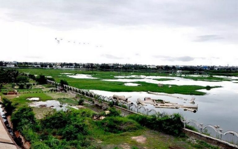 Le Sénégal adopte un projet de décret portant création de la réserve urbaine naturelle de la grande Niaye de Pikine