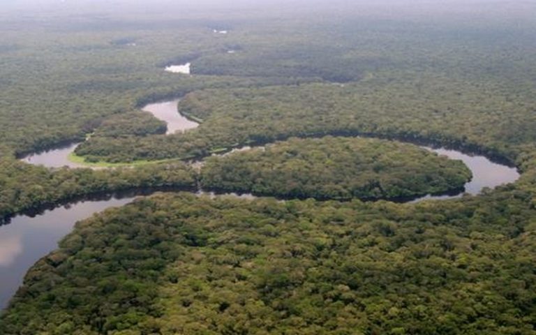 Le parc national de Salonga menacé par un accord pétrolier en RDC