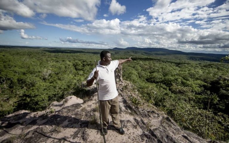 Le rôle non négligeable des zones protégées d’Afrique de l’Est