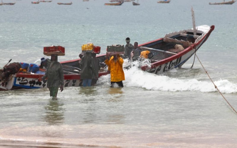 Les pêcheurs artisanaux de la Mauritanie en disgrâce