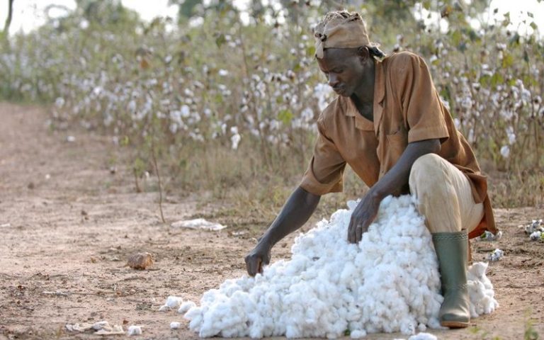L’agonie de Olheol industries en Côte d’Ivoire