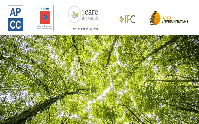 Préservation de la mégadiversité biologique du bassin du Congo : l’ATIBT privilégie la gestion durable des forêts