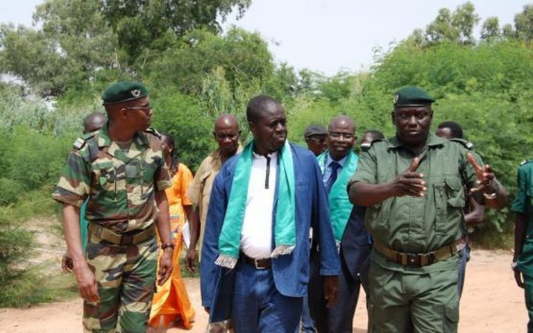 Surveillance des forêts : le Sénégal équipe ses services forestiers de drones