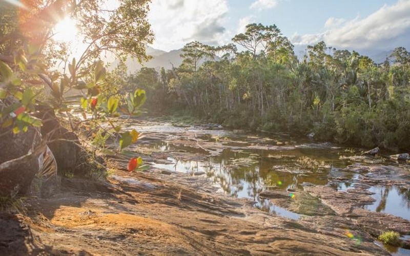 La couverture forestière au profit de la préservation des moyens de subsistance