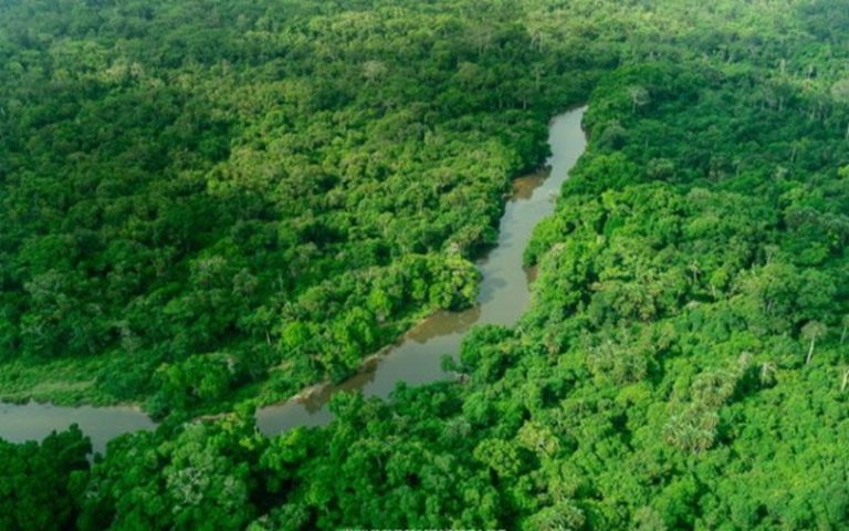 Protection du Bassin du Congo : vers la création d’un nouveau Fonds de 1,5 milliard $