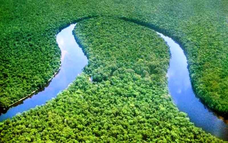 Bassin du Congo : le FEM finance la sauvegarde des aires protégées