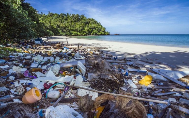 La lutte contre l’invasion du plastique dans nos océans s’intensifie