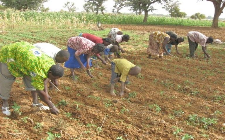 La place de la révolution énergétique dans l&rsquo;agriculture africaine