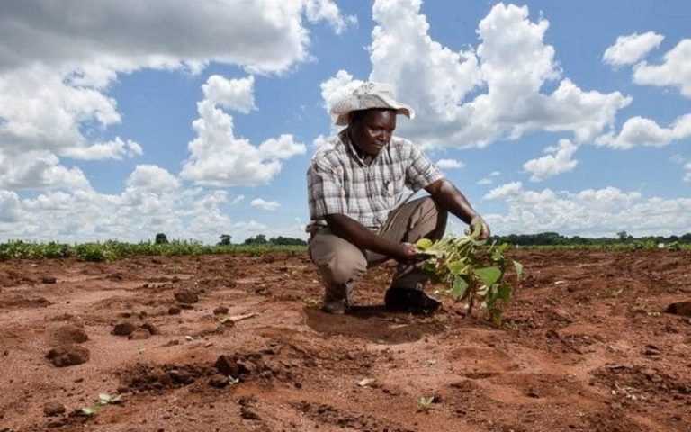 Les crises alimentaires en 2019 seront liées aux chocs climatiques et aux conflits