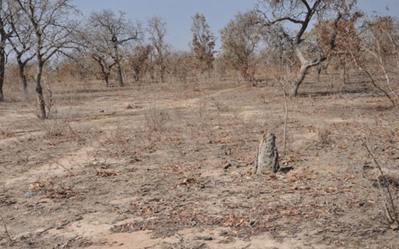 Les terres dégradées des zones rurales d’Afrique propices aux affaires