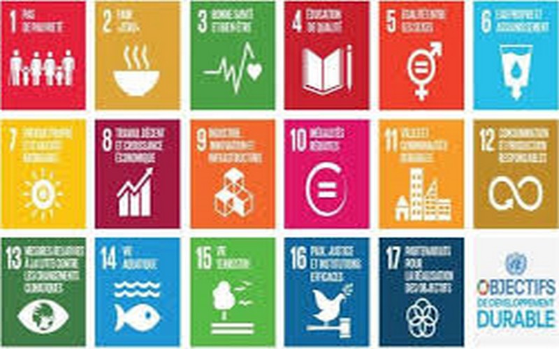 Les travaux d’une étude pilote sur les ODD liés à la santé présenté au Sénégal