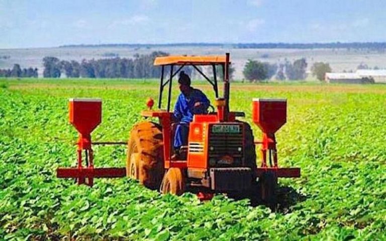 Programme agricole, protection des océans, formation verte : au menu des initiatives pour la protection de l’environnement en Afrique