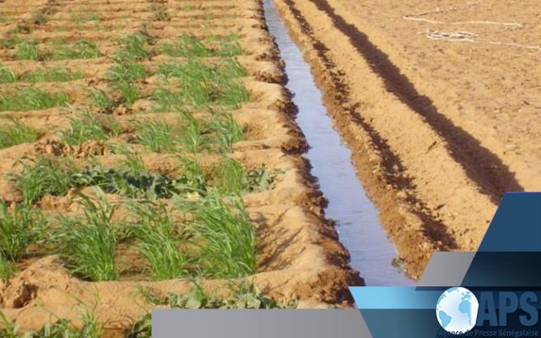 L’ONG SOS Sahel compte restaurer 360 mille hectares de terre en Afrique « d’ici à 2024 »