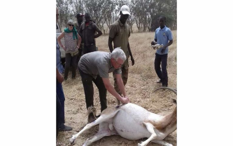 Quand l’ONG Doli s’immisce dans la protection de la biodiversité en Afrique