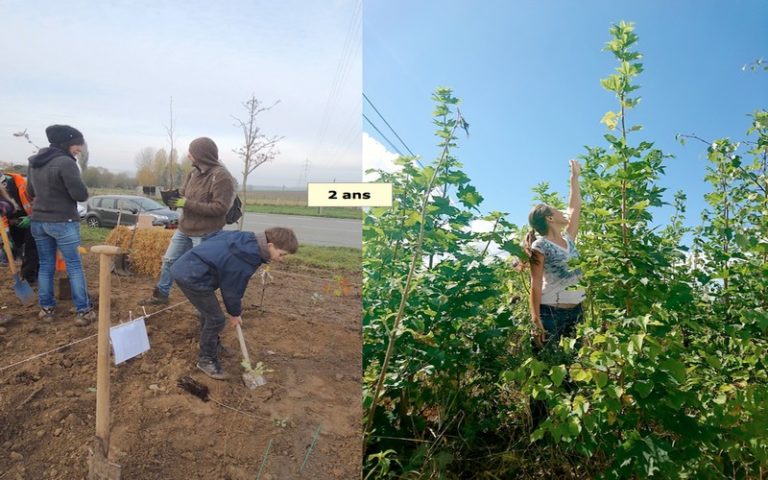 Akira Miyawaki à l’origine des micro-forêts 100 fois plus riches en biodiversité
