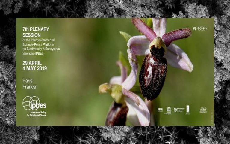 Communiqué de presse conjoint – Biodiversité : La France accueille la 7ème conférence de l’IPBES (2 mai 2019)