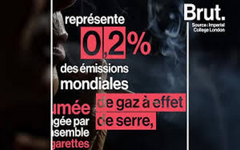 La cigarette, potentiel ennemie de l’environnement