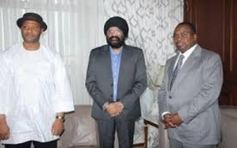 La société Jindal Steel Power pourrait exploiter le gisement de fer de Ngovayang (Cameroun)