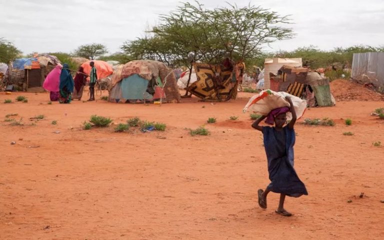 La sécheresse décime la Somalie et la Namibie, la sécurité alimentaire désirée