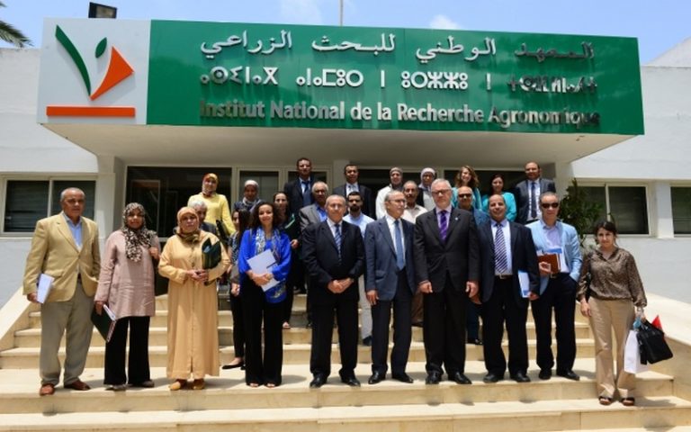 Le Maroc réussit quelques exemples de cultures résilientes en milieu salin