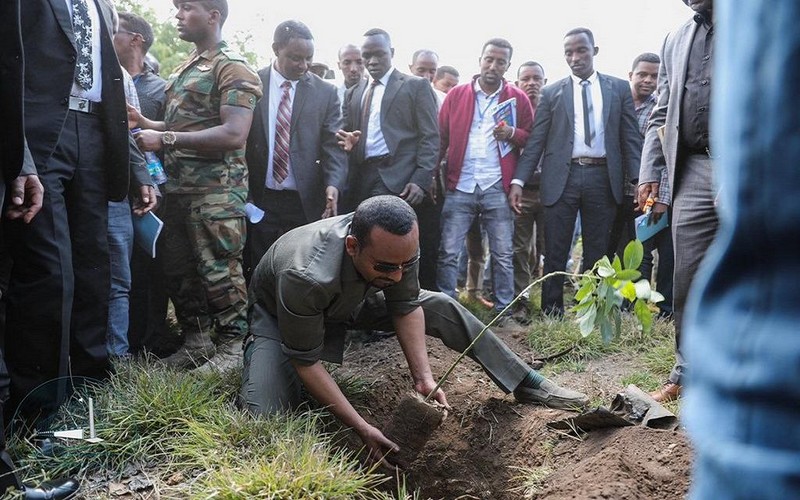Abiy Ahmed lance l’opération « 4 milliards d’arbres » en Éthiopie