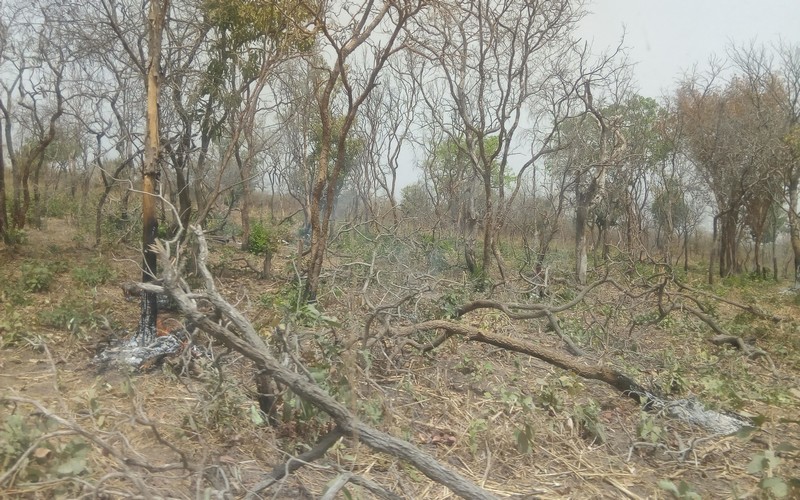Le Tchad entre éducation à l’environnement et développement durable