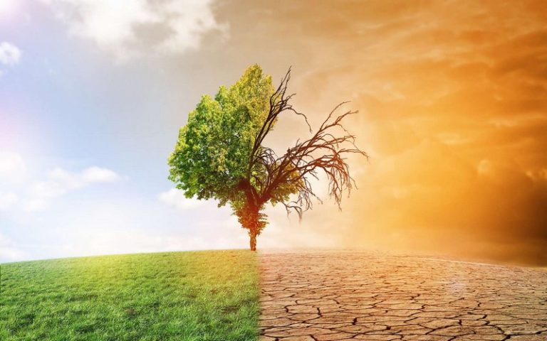 Le changement climatique, l’un des principaux sujets évoqués par la presse