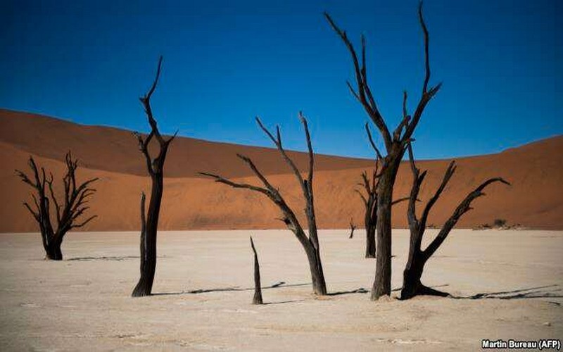 Le gouvernement namibien appuie les populations impactées par la sécheresse