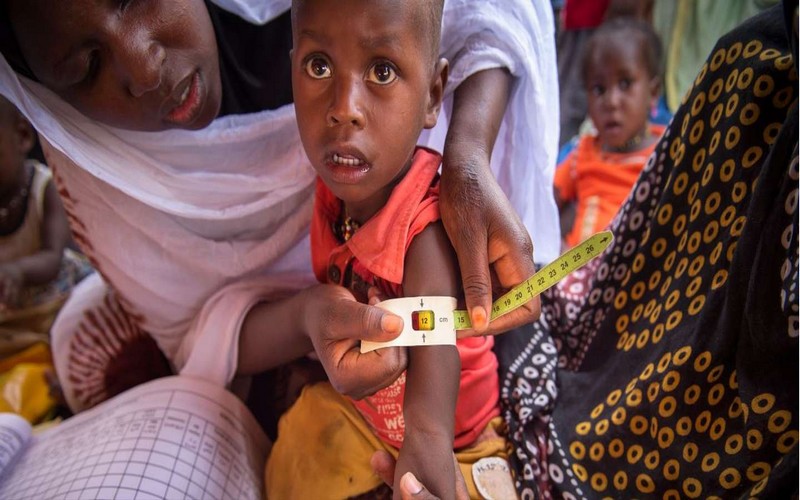 Les journaux font état de l’insécurité alimentaire en Afrique