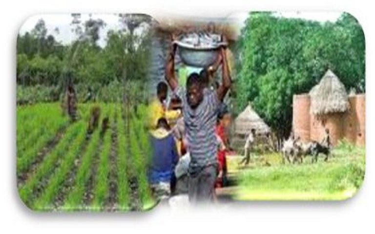 Les journaux s’intéressent à l’agriculture, l’élevage et la pêche en Afrique