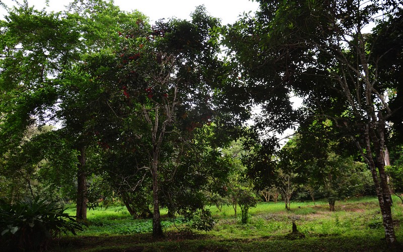 Les parties prenantes et la Banque mondiale valident le rapport PIF 2018 de la RDC