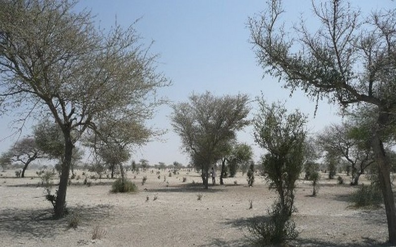 Lutte pour le climat : l’Allemagne finance la recherche en Afrique australe