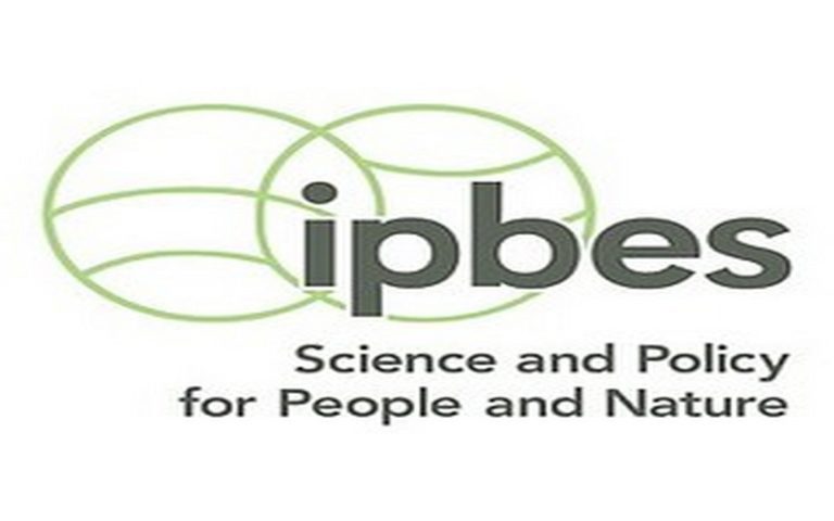 L’UNESCO et l’IPBES alertent sur l’urgence de protéger « notre patrimoine mondial environnemental »