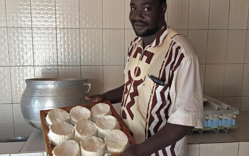 Production du camembert : le Bénin mise sur la diversification de la transformation du lait