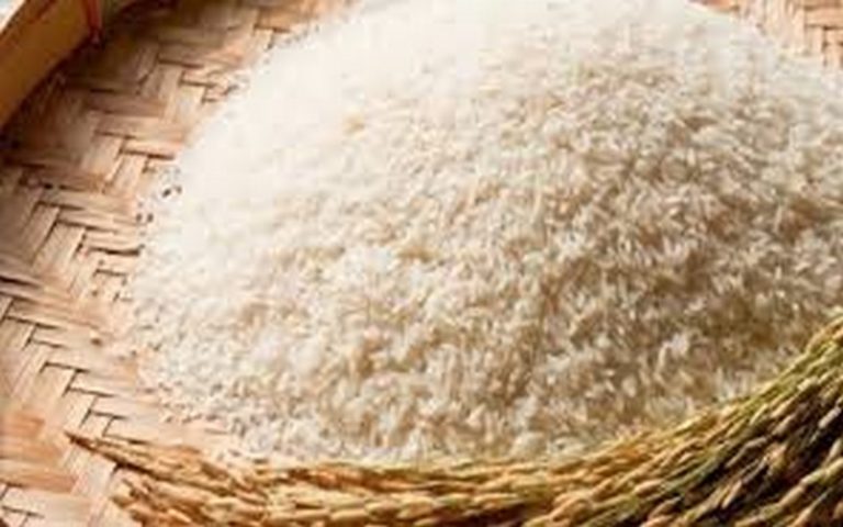 Une étude mise sur la fluidité des échanges pour une sécurité alimentaire mondiale d’ici à 2050